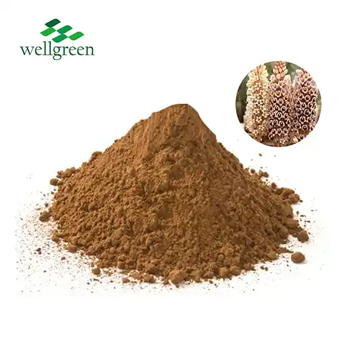 Cistanche Tubulosa Extract Powder